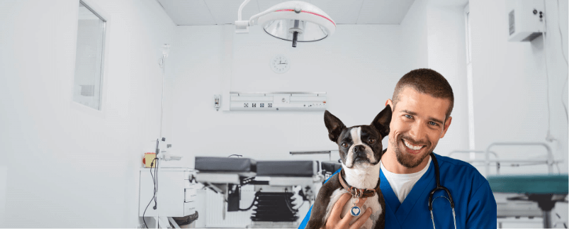 equipos médicos veterinaria lima